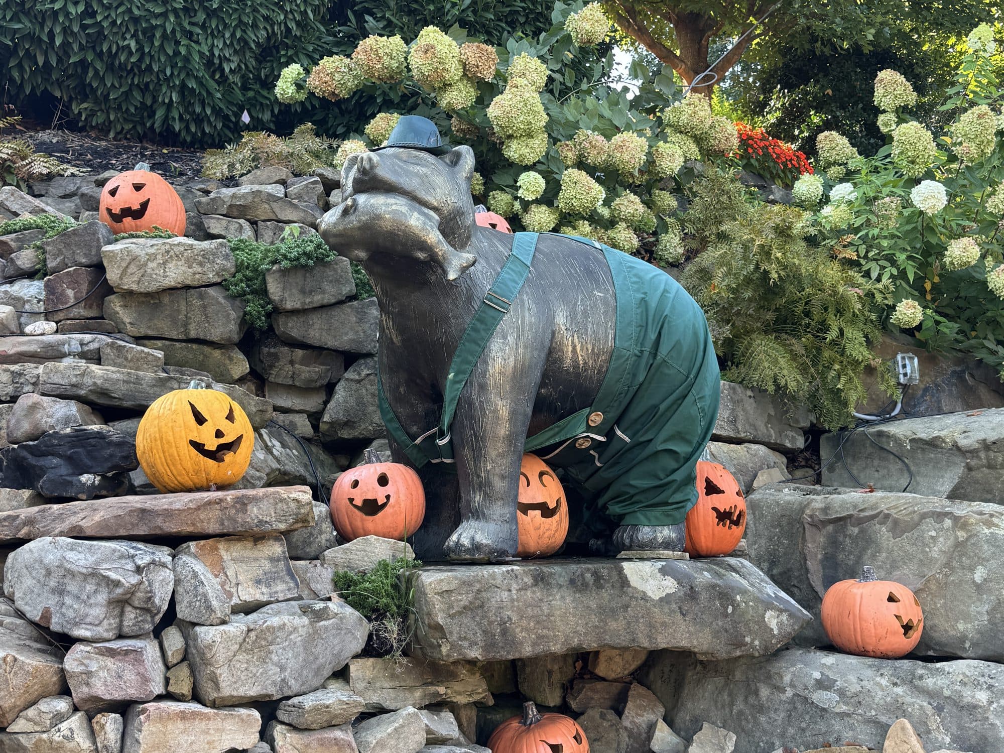 A bear statue in overalls surrounded by jack-o'-lanterns, dressed up for fall